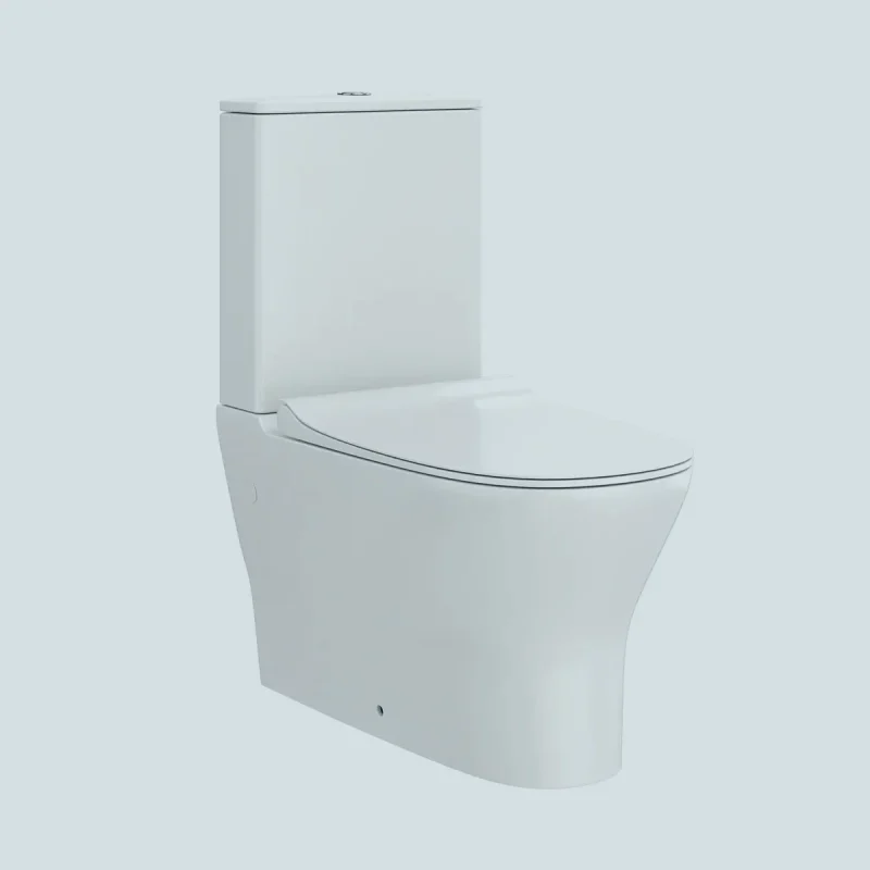Унитаз напольный безободковый Teymi Ellie T40801